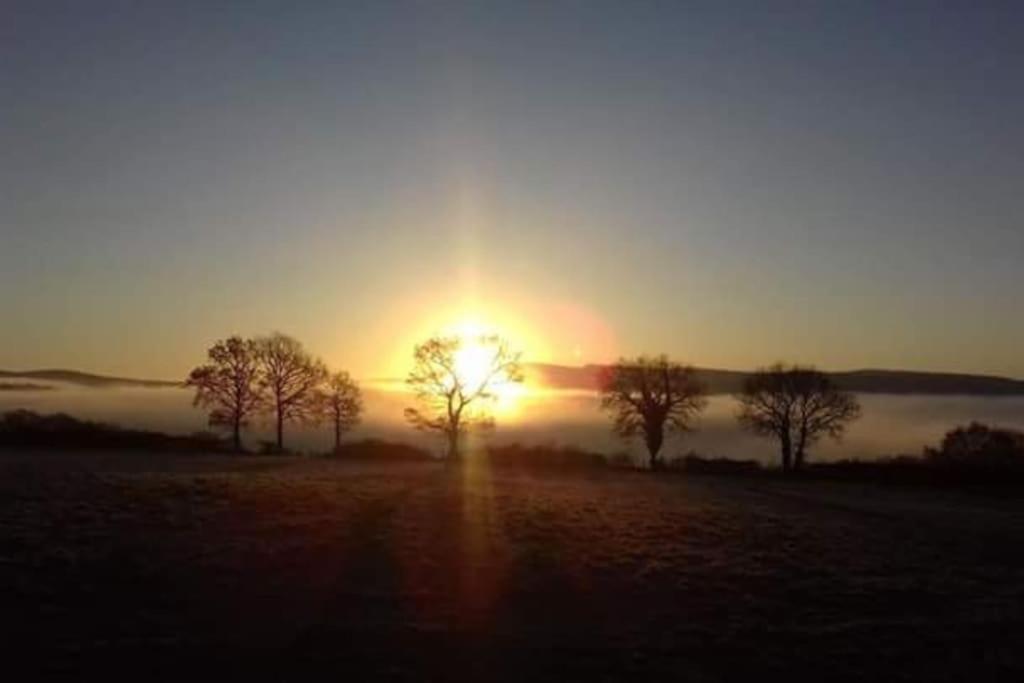 Perfect Cottage Retreat Near The Brecon Beacons Llanwrda Екстер'єр фото