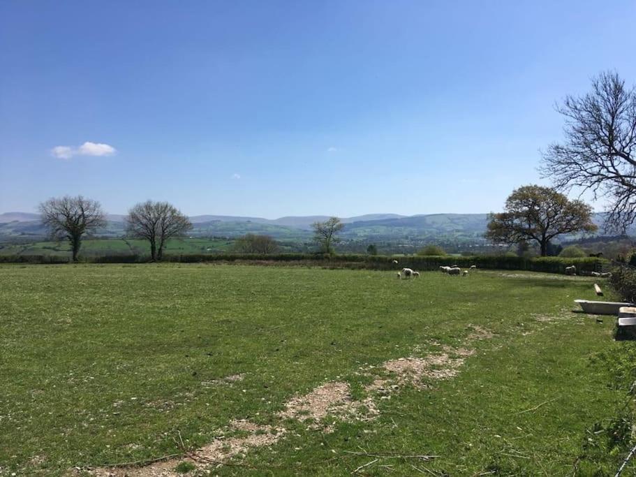 Perfect Cottage Retreat Near The Brecon Beacons Llanwrda Екстер'єр фото