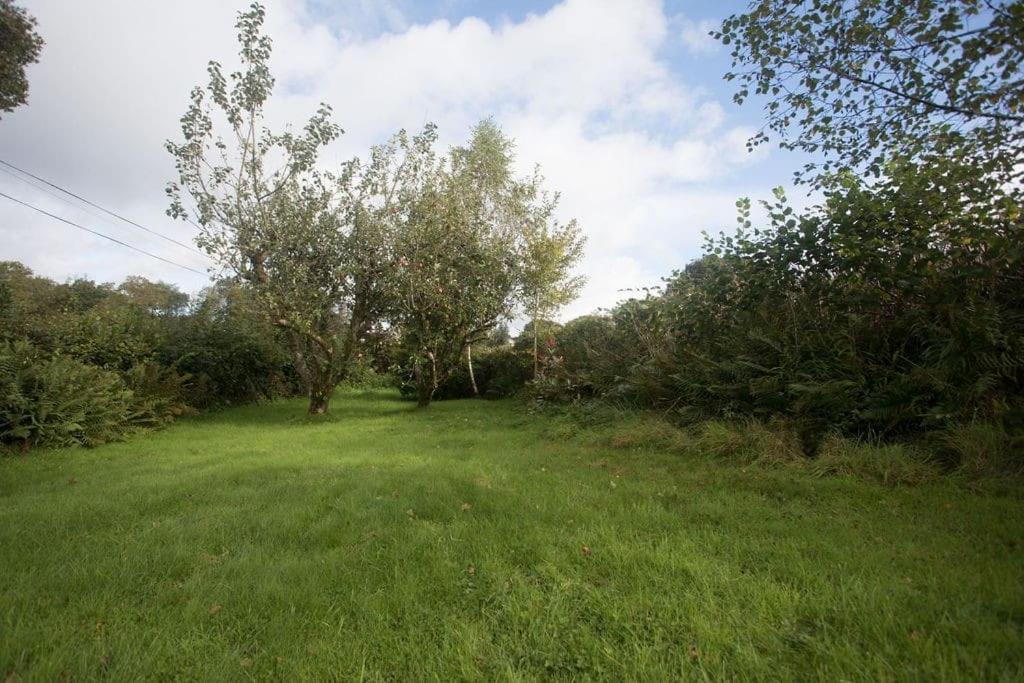 Perfect Cottage Retreat Near The Brecon Beacons Llanwrda Екстер'єр фото